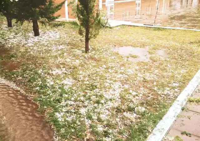 1513799859740