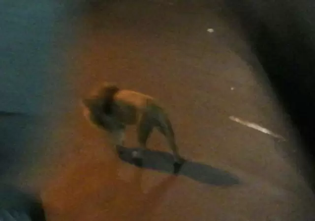 1523314486345