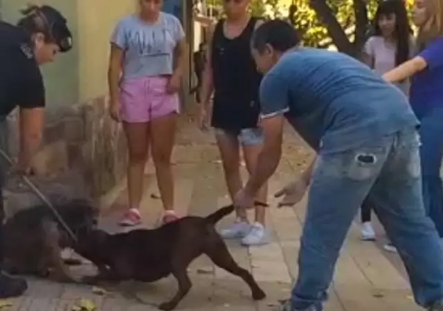 1523306576956
