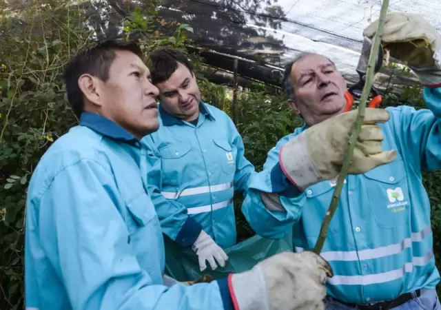 1523551927530