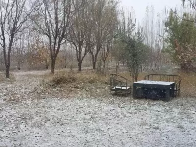 1527777610121