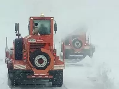 nieve2