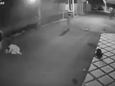 1532184450201