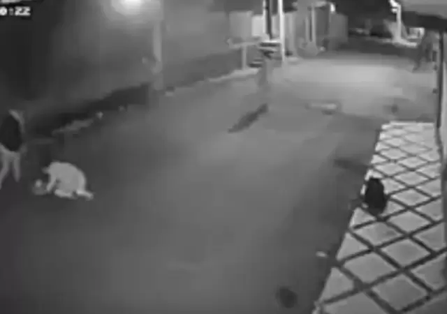 1532184450201