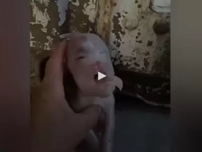 1531175766749