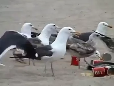 1532692355993