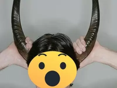 1535662051094