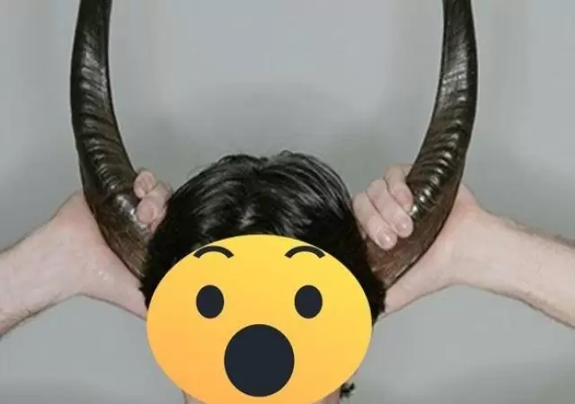 1535662051094