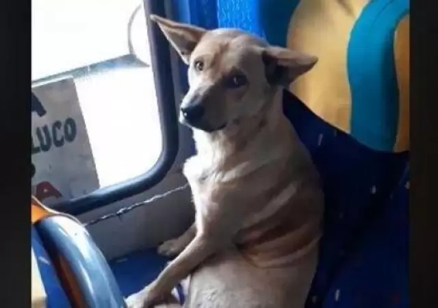 1533213496642