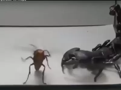 1536418717298