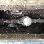 Aguas Mendocinas llamar� a licitaci�n para colocar 160 mil medidores de agua�