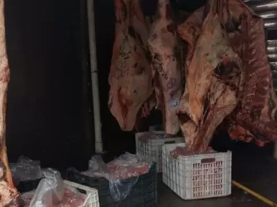 carne-en-mal-estado-