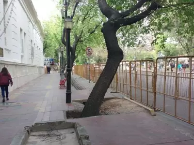 1539182310222