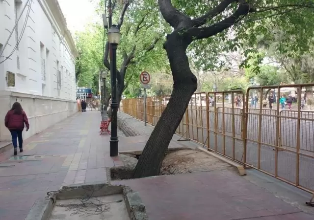 1539182310222