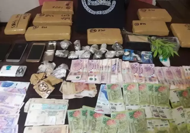 ladrillos-marihuana-droga-secuestro-polic�a-allanamiento-mendoza