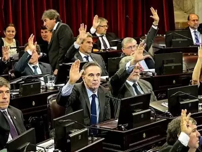 senadores-oj