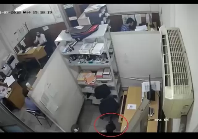 mujer-robo-oficina-fiscal-godoy-cruz-video