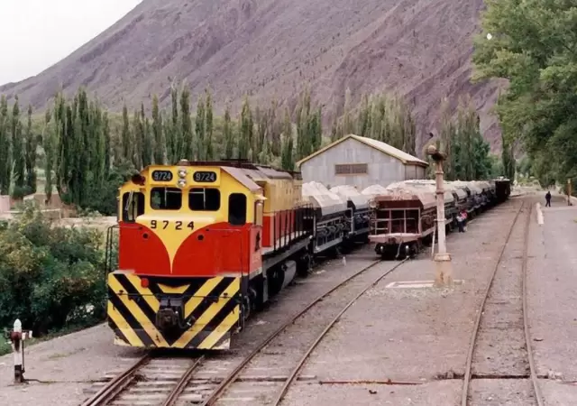 Ferrocarriles_Argentinos_-_Carguero_en_Ingeniero_Maury