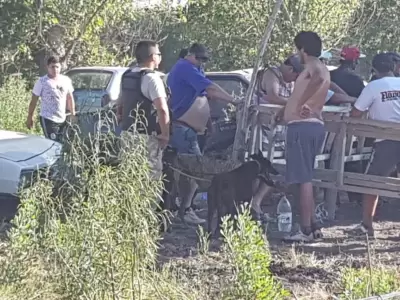 carreras-galgos5