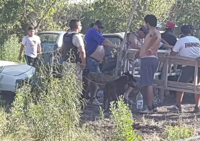 carreras-galgos5