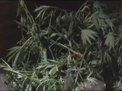 detenidos-guaymallen-marihuana-mendoza-domingo-policiales
