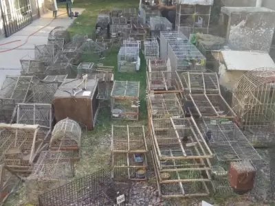 secuestro-aves-silvestres-mendoza-lujan-de-cuyo