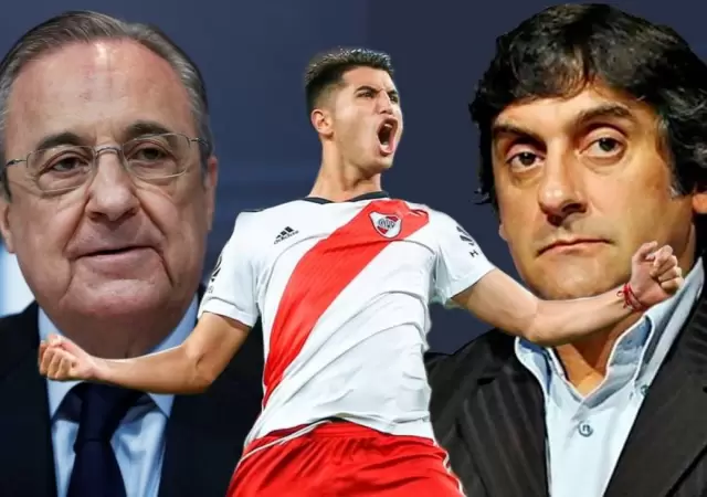 enzo