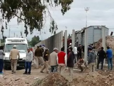 Foto-Palmira