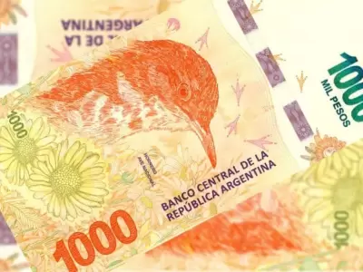 billete-hornero