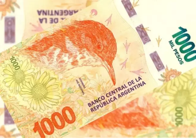 billete-hornero