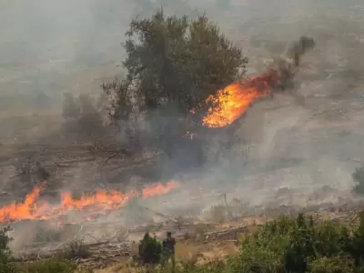 incendio-chile-sur