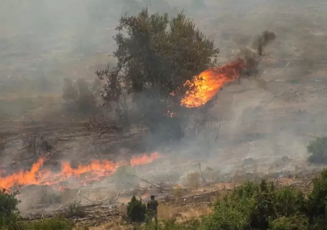 incendio-chile-sur