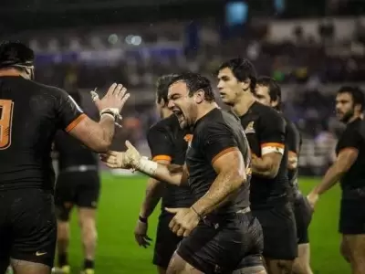 jaguares