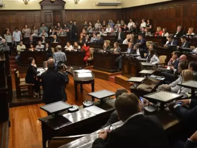 defensor-discapacidad
