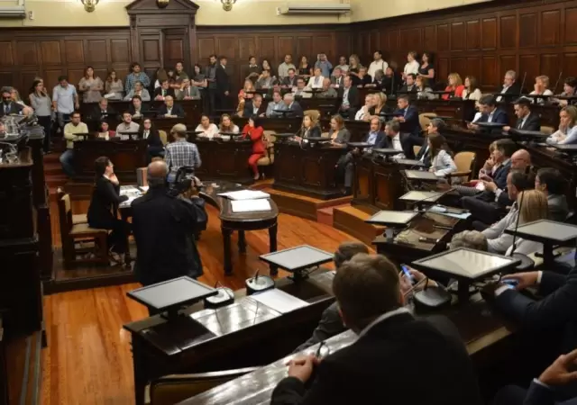 defensor-discapacidad