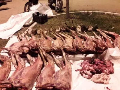 policiales-mendoza-san-rafael-camioneta-animales-cabras-faenados