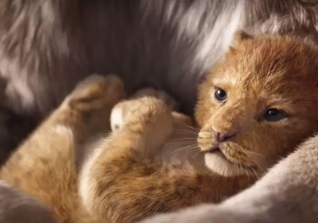 el-rey-leon-disney-live-action