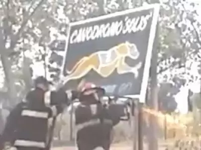 f2