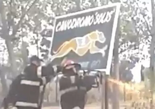 f2