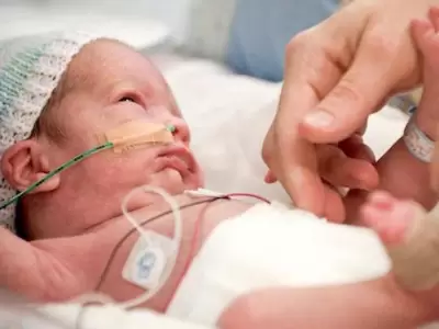 bebes-con-droga-en-sangre-hospital-lagomaggiore-mendoza-argentina-2018-2019