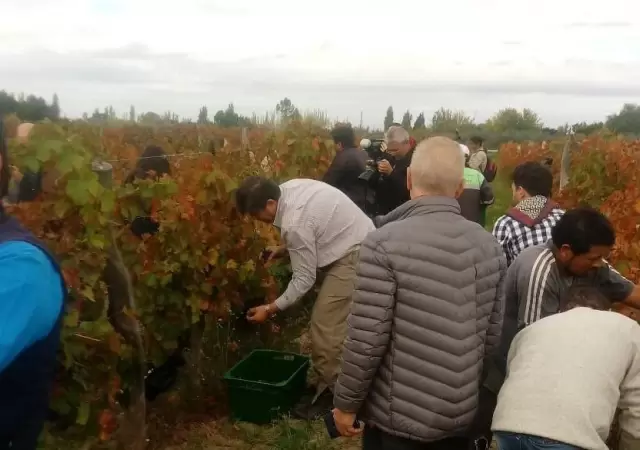 Foto-cosecha