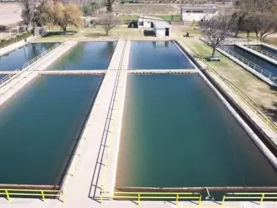 cortes-de-agua-en-lunlunta-y-flor-de-piedra-maipu-mendoza