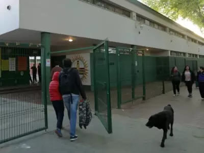 tema-del-d�a