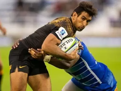 jaguares