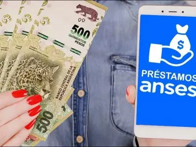 creditos-anses-auh-pnc-suaf