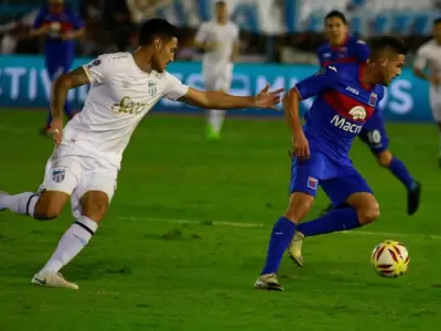 tigre