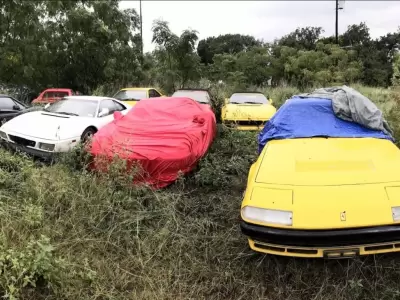 Field-Of-Abandoned-Ferraris-1600x826