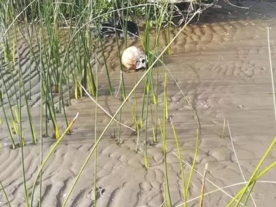 encontraron-hallaron-restos-humanos-en-punta-lara-playa-de-buenos-aires