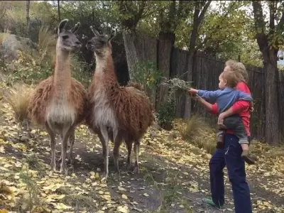 ecoparque-mendoza-argentina
