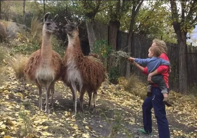 ecoparque-mendoza-argentina